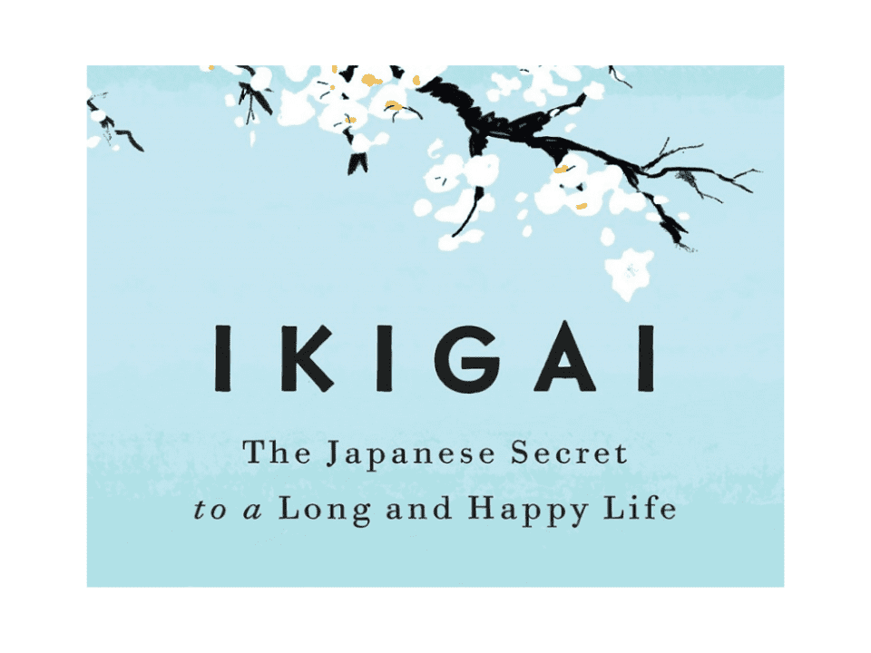 Ikigai Book Front Cover in Light Blue Color