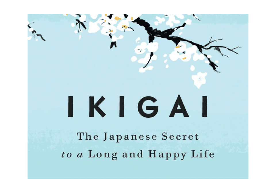 Ikigai Book Front Cover in Light Blue Color